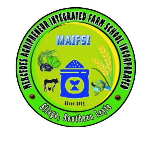 MAIFSI Branding