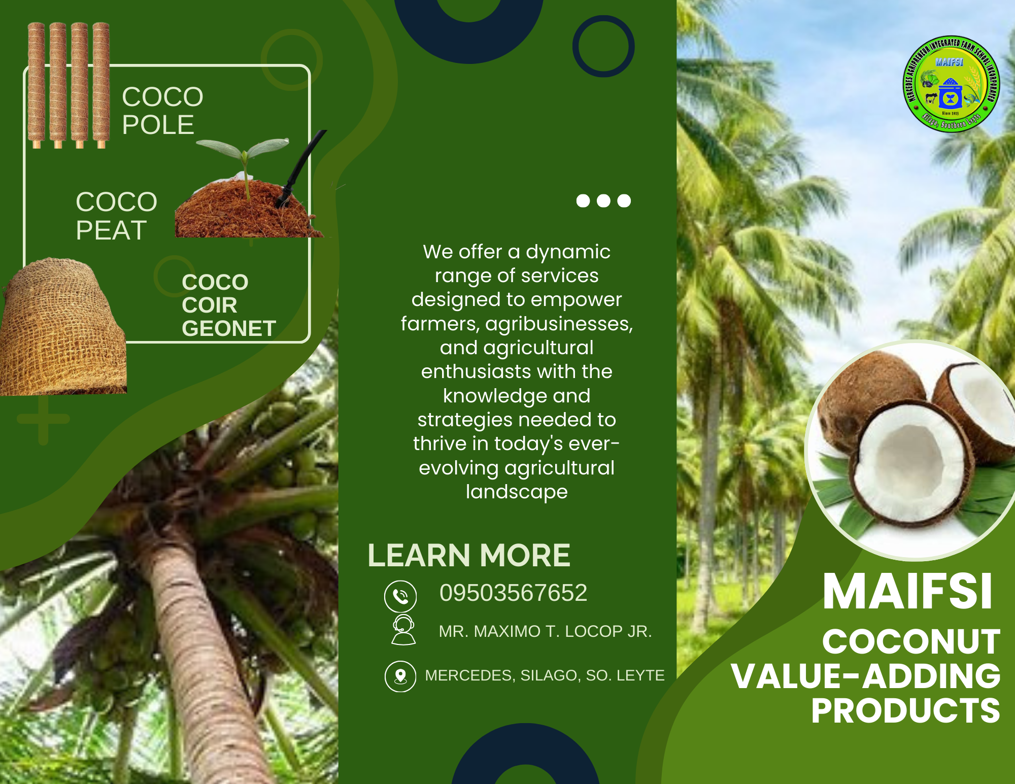 MAIFSI brochure